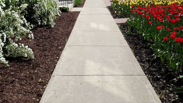 Cost of Cement Sidewalk Installation in Annapolis