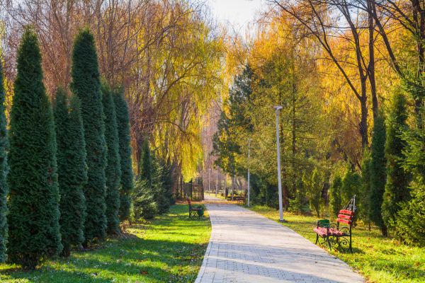 Paved Walkway Building